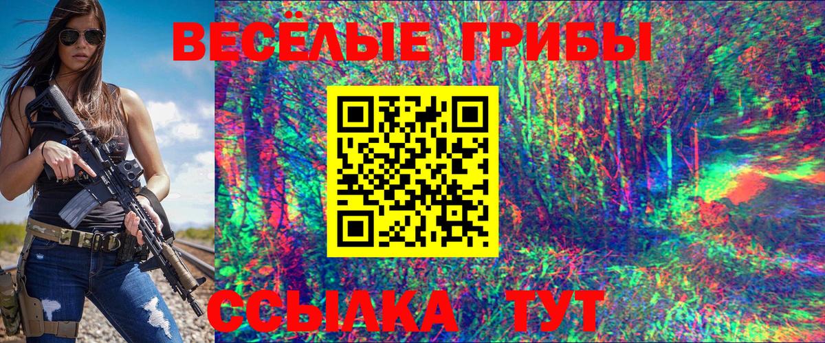Галлюциногенные грибы Cubensis Удомля